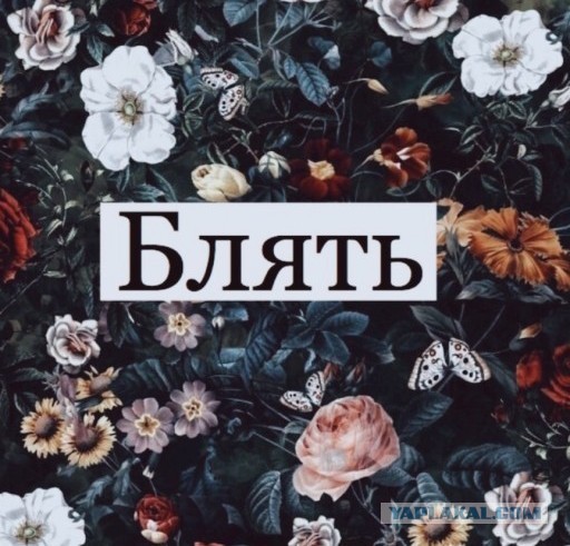 Нуштош 06.07.2023