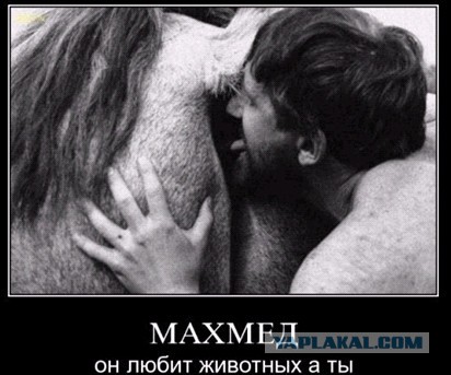 Самый красный мокасин