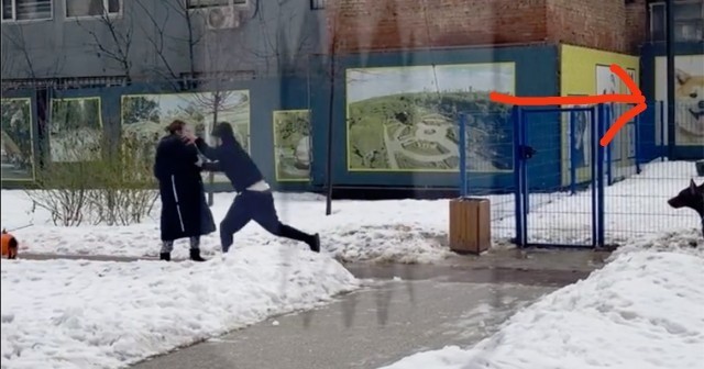На владельца собак, напавшего на москвичку, завели уголовное дело