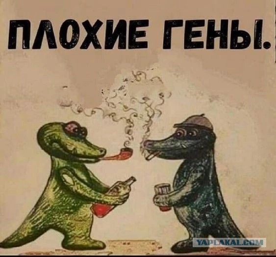 Сказка в жизни