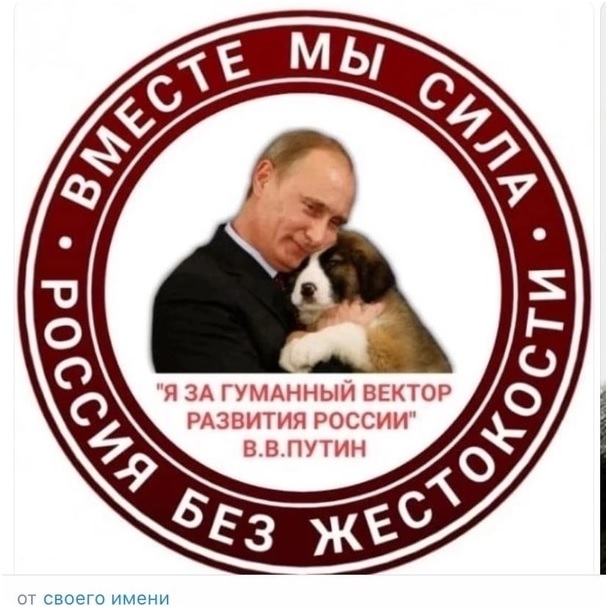 Девочку чуть не разорвала стая поганого шавла (жёсткое видео)