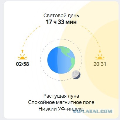 Недимон – не идиот