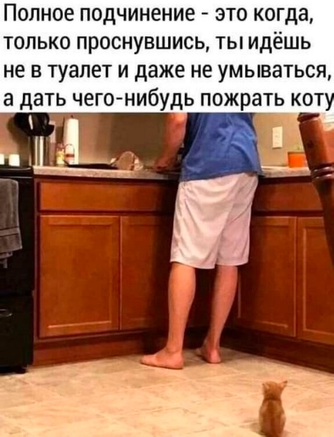 Весёлый полтишок 05.08.24