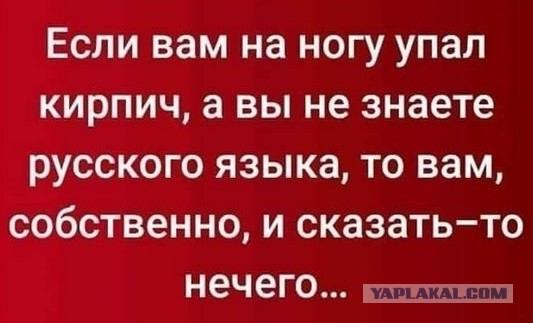 Забавные картинки, шутки из этих ваших интернетов