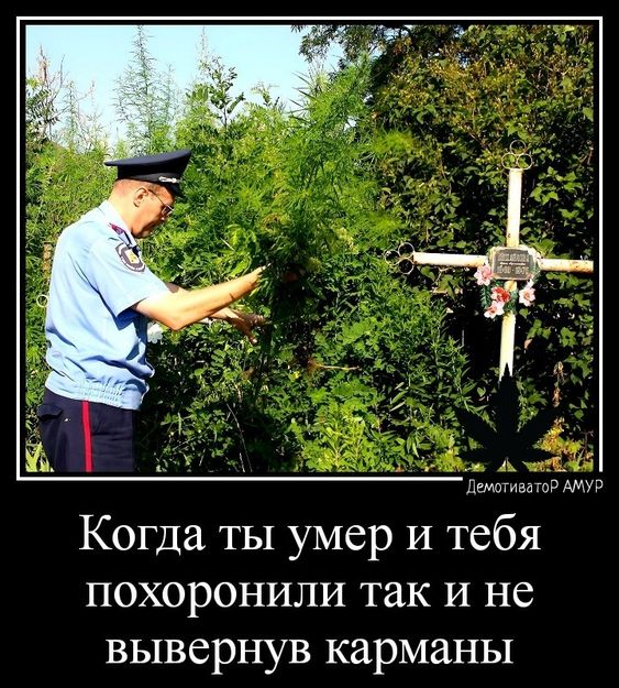Прикольные и просто красивые картинки 08.11.2024