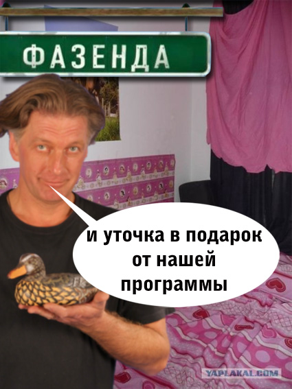 Как испоганить холостяцкое гнездышко