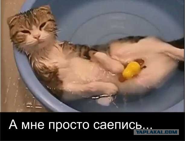 Хвастунишки