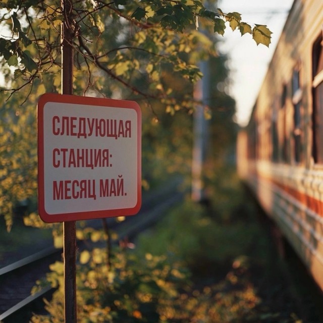 Весёлые картинки
