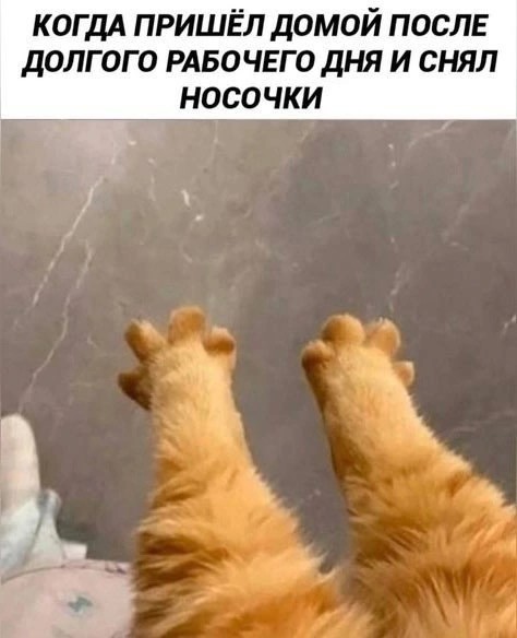 Так себе картинки 22.03.25