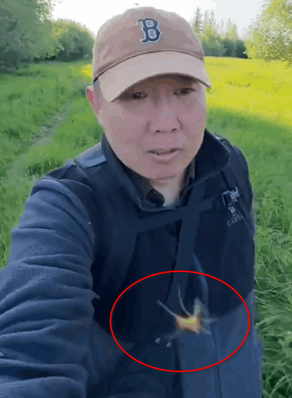 Якут дело говорит