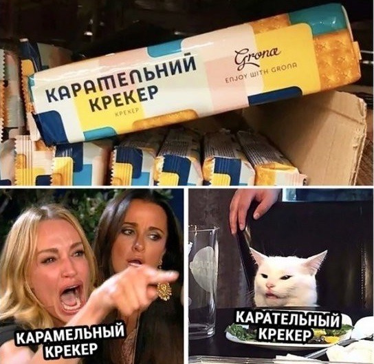 Знаменитый кот