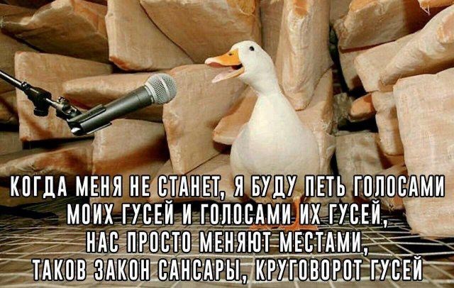 Гусиная тема