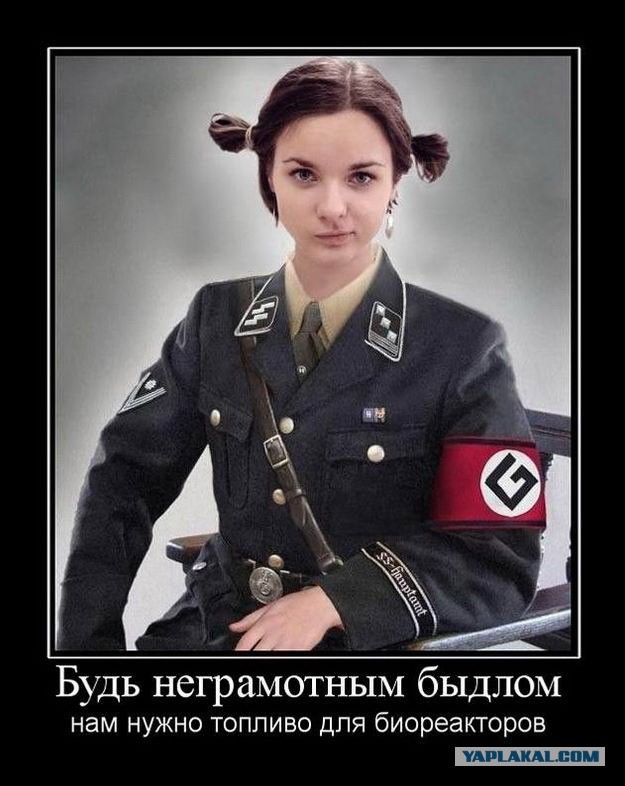 Движуха поперла