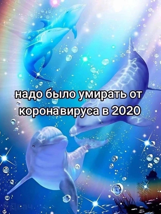 Баянистой пост
