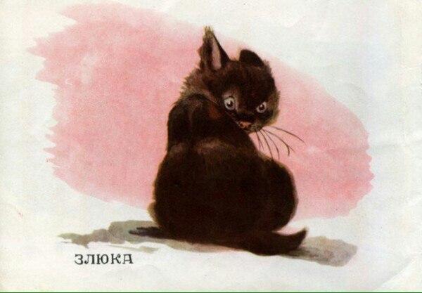 Редкие кадры и архивные снимки 05.11.25