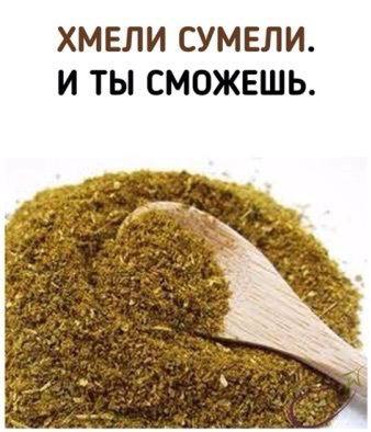 Дегронимикон