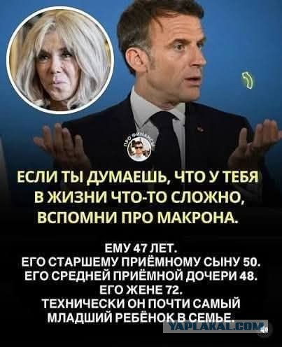 Веселое настроение в картинках (12.12.2025)