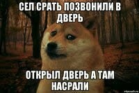 Картинки для деградации 114 (разной степени свежести)