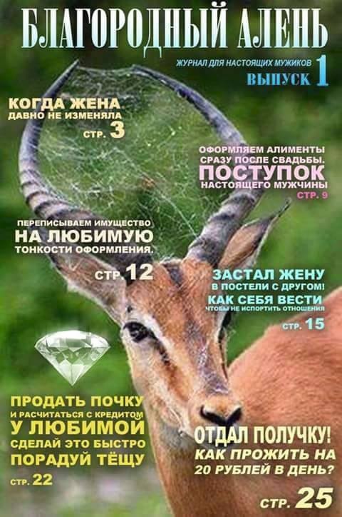 Гигиенический душ и 40 минут ада