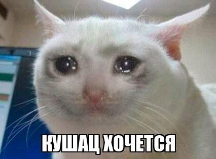 Дочь президента Эрдогана призвала к деколонизации Запада