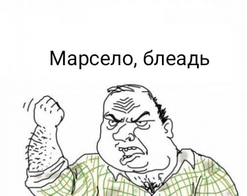 *БАЯН*Бенгальский кот загрыз чихуахуа в Москве