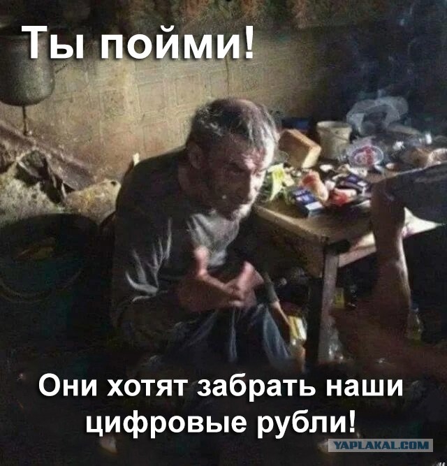 Налоговая будет получать IP-адрес, номер телефона и сведения о SIM-карте пользователя при проверке операций с цифровыми рублями
