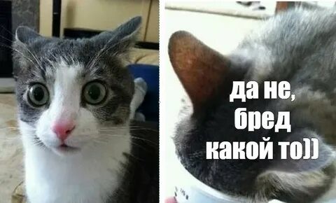Германия увидела угрозу безопасности в российской студентке