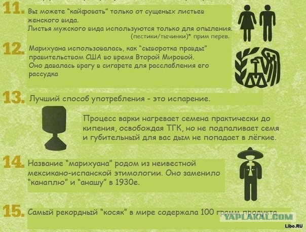 Сиэтл Hempfest 2013