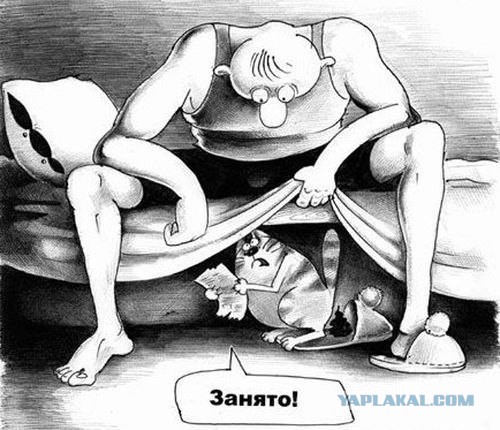 Весёлые картинки. Разбавим будни