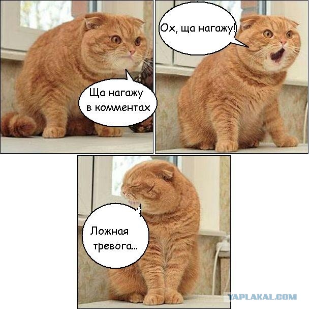 Демотиваторы.
