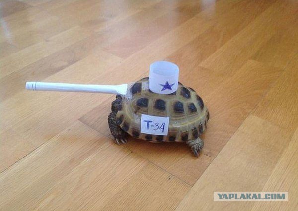 Поднимаем настроение