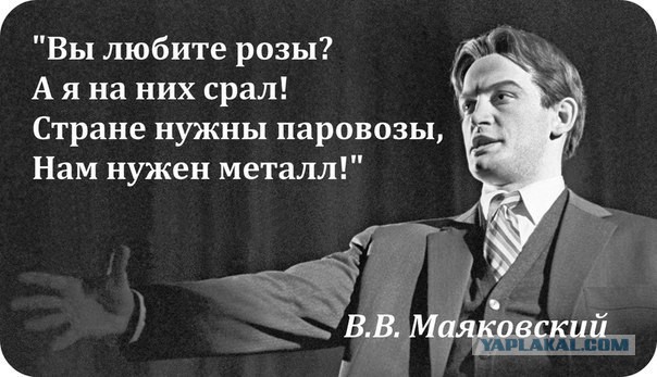 Ростовчане за несколько часов УНИЧТОЖИЛИ БУКЕТ РОЗ