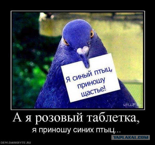 ВыКлючи!