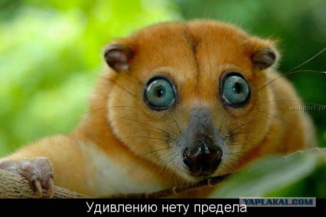 Подборка чудил из соцсетей