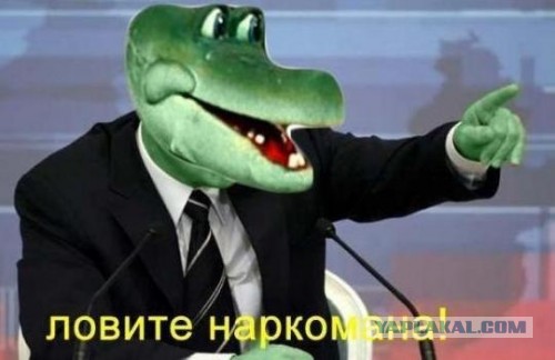 Этому малышу сказочно повезло