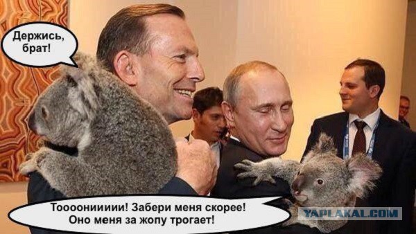 Правильно встали