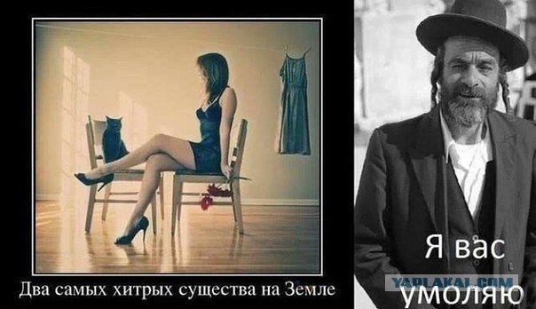 Смешные картинки