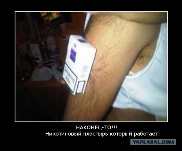 Демотиваторы вторника