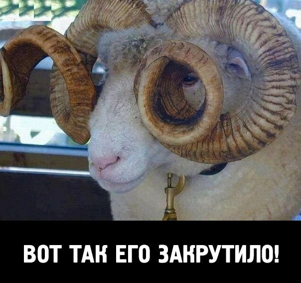 Смешные картинки из сети