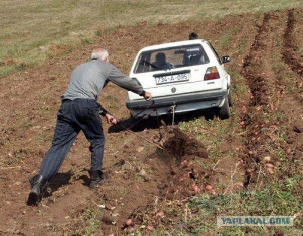 Прикольные картинки из сети