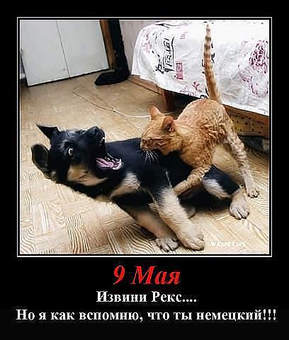 Смешные картинки №...дцать