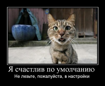 Краткое пособие для желающих завести кота