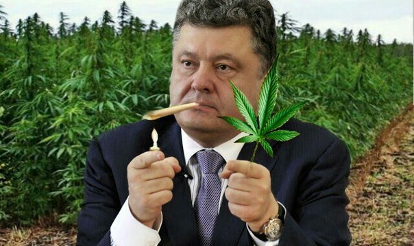 Украинским следователям разрешили обыскать штаб Fa