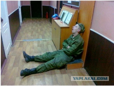 Веселые картинки