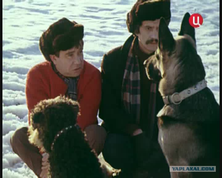 Жизнь и приключения четырёх друзей 1981. Жизнь и приключения четырех. Приключения четырех друзей. Жизнь и приключения четырех друзей (1980). Жизнь и приключения четырех.