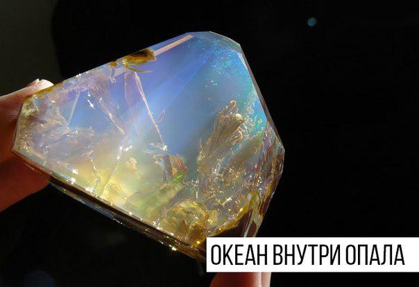 Интересные и веселые картинки