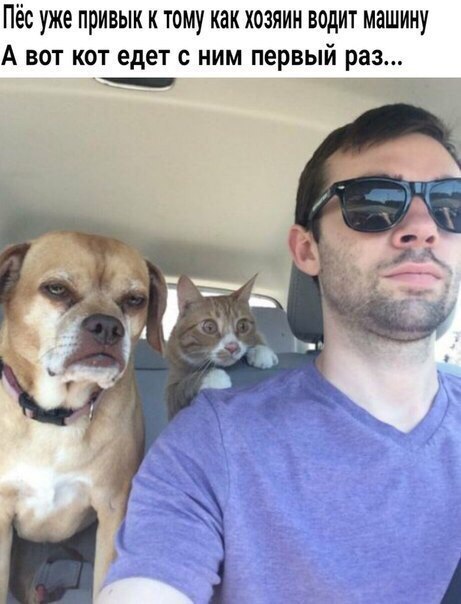 Подборка картинок