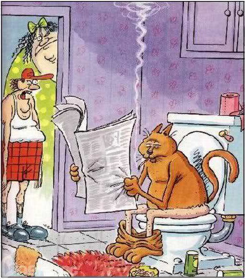 Жарко сцуко