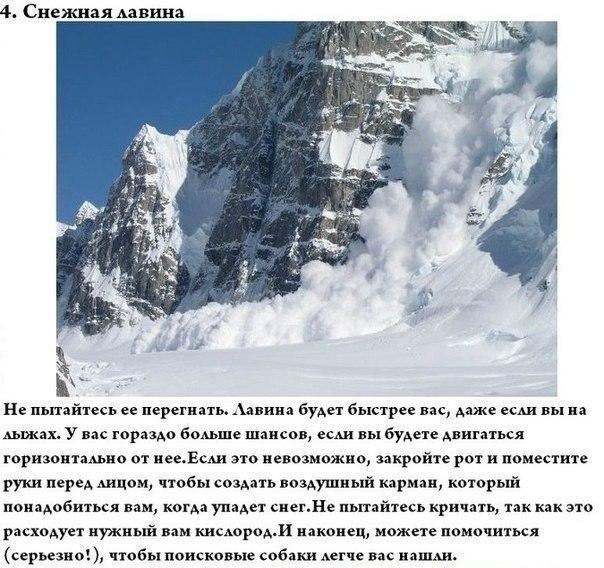 Подборка интересных и смешных картинок