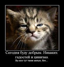Животные, которых тоже чертовски удивляет этот мир